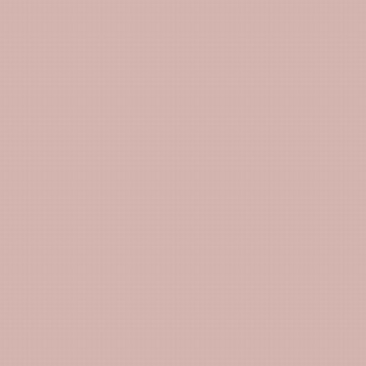 Resene Oyster Pink - #d4b5b0 color code hexadecimal - R81-022-033